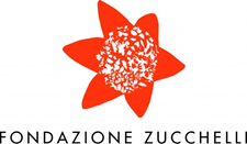 Logo Fondazione Zucchelli da IG